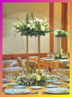 Casamiento cumpleaņos y fiestas decoracion de 15 aņos.