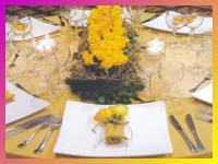Decoracion de 15 aņos y ambientacion de fiestas de casamiento.