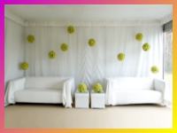 Ambientadores de eventos y fiestas de 15 aņos.
