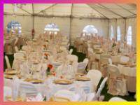 Ambientadores de eventos casamientos 15 aņos y decoracion de fiestas.