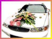 Cintas moņos y flores para casamientos y autos para 15 aņos.