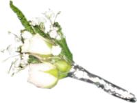 Flores para 15 aņos naturales y tocado de novia para boda.