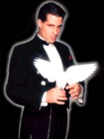 Shows para bodas y casamientos con el cubano.
