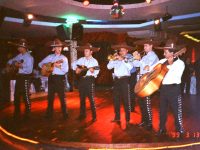 Shows musicales fiestas casamientos bodas. Bandas shows musicales vivo cantantes grupos bandas bodas musicales.